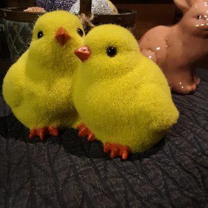 Fuzzy Flocked Chicks